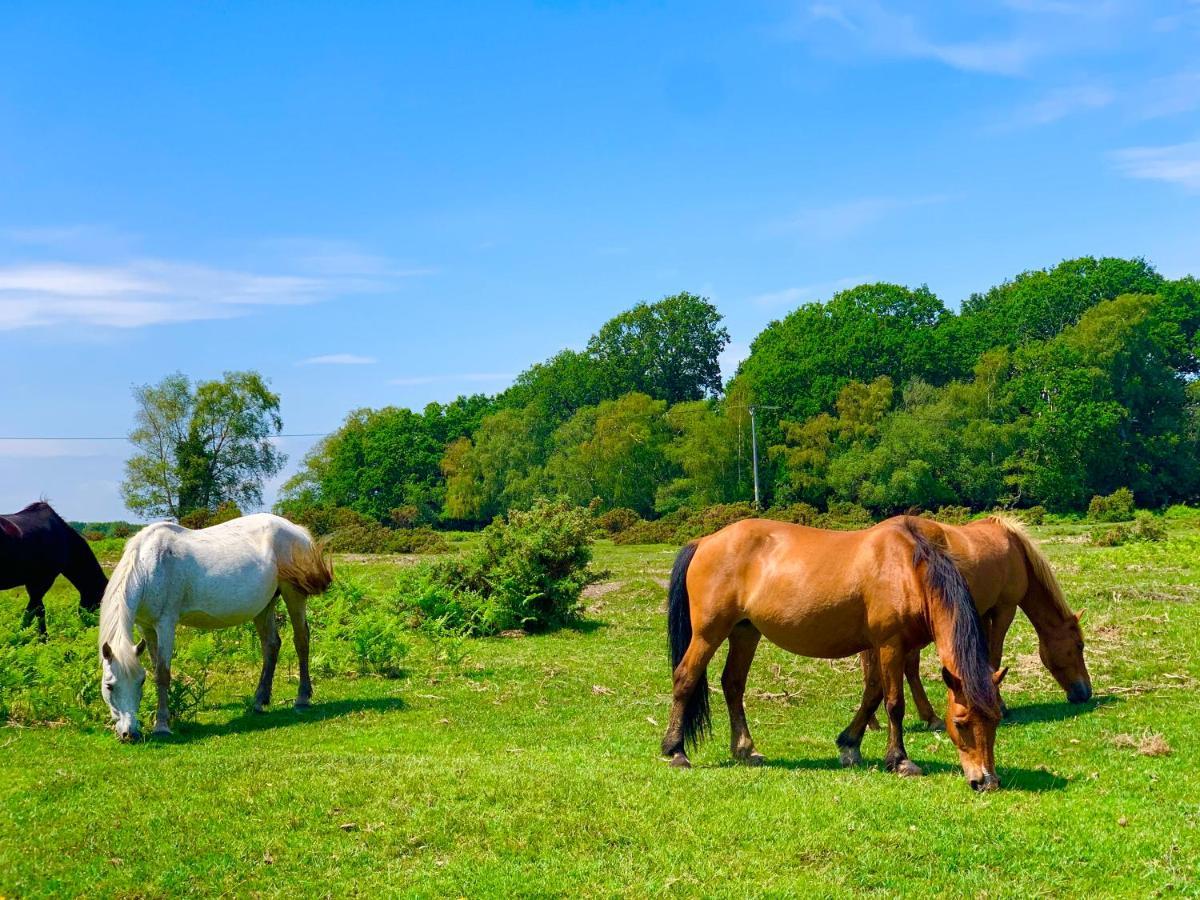Forest Haven Sway Buitenkant foto