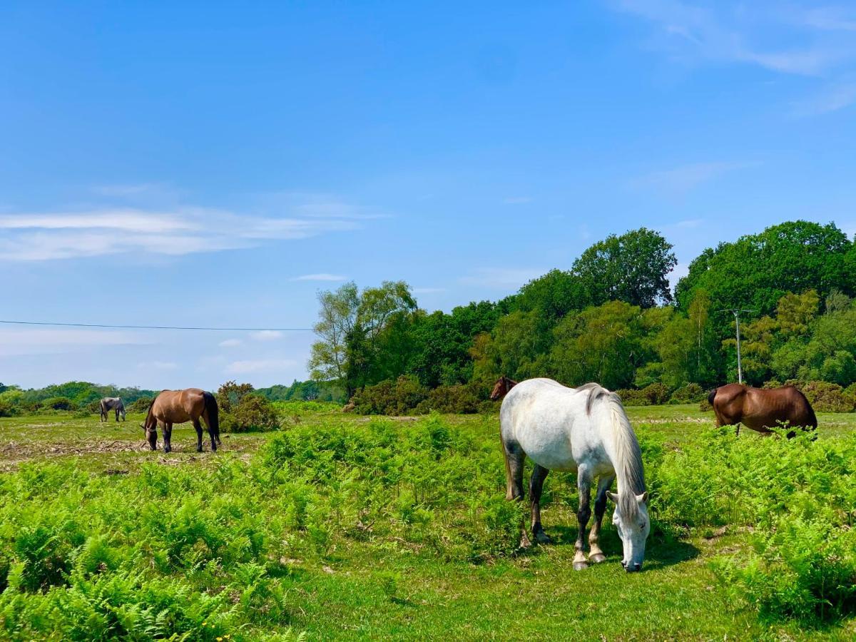 Forest Haven Sway Buitenkant foto