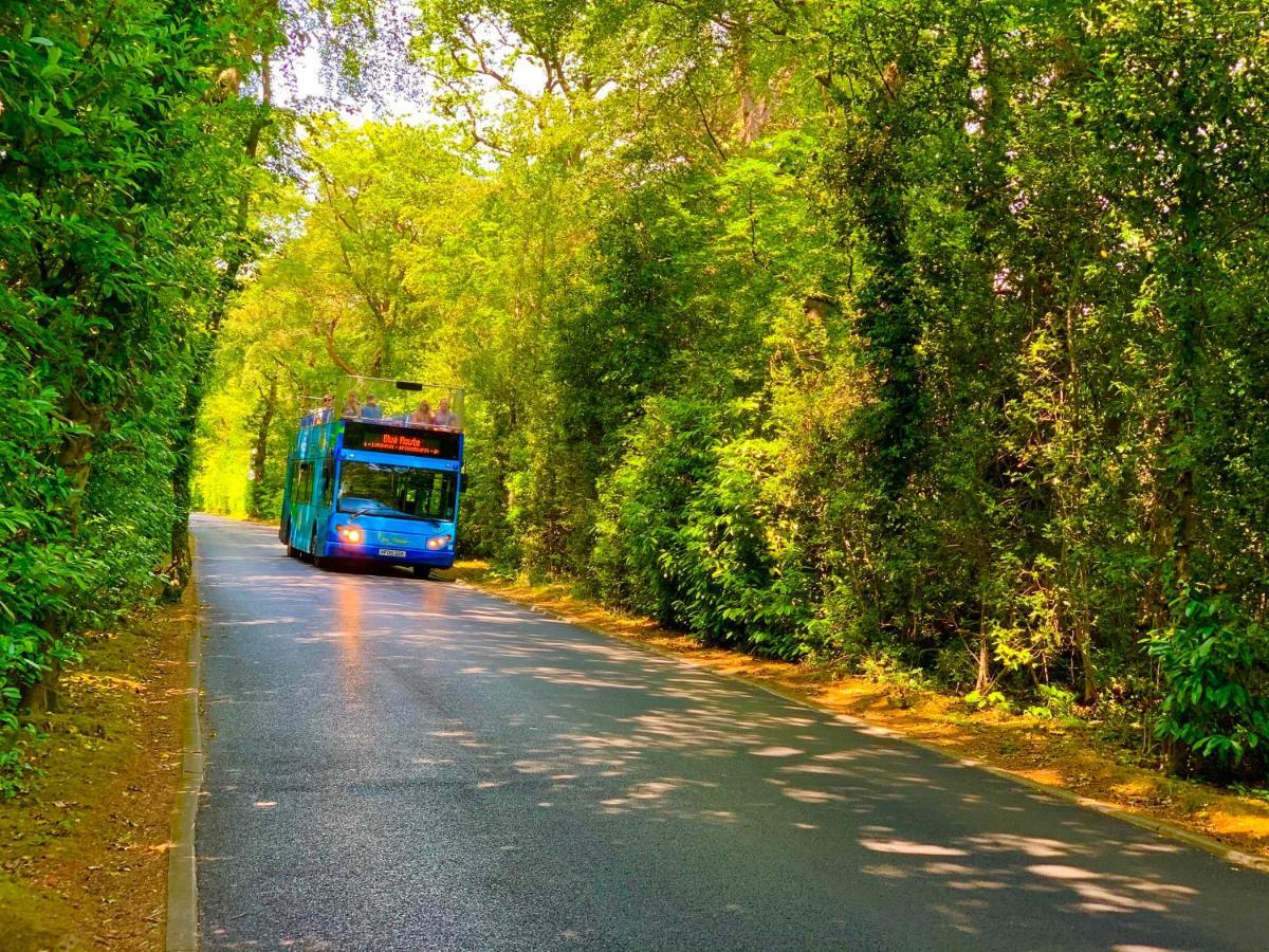 Forest Haven Sway Buitenkant foto