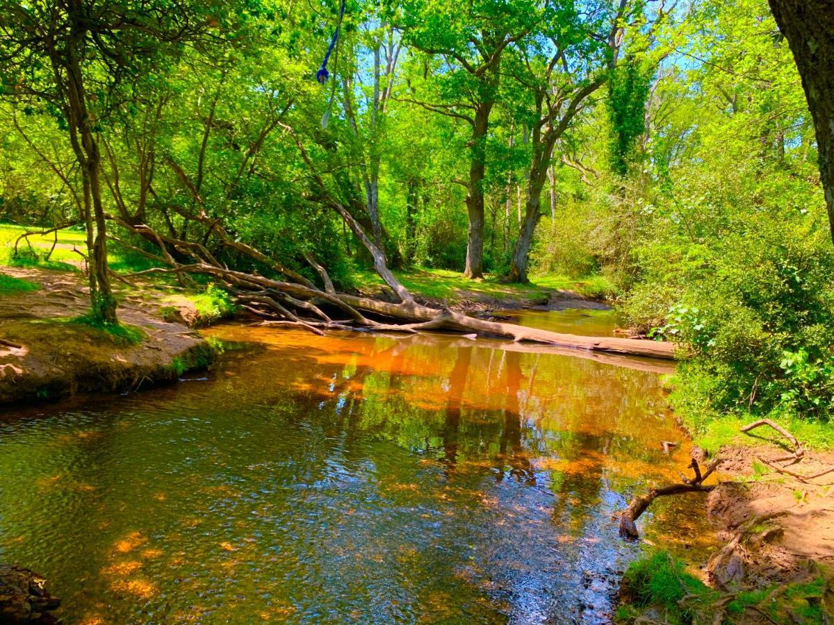 Forest Haven Sway Buitenkant foto