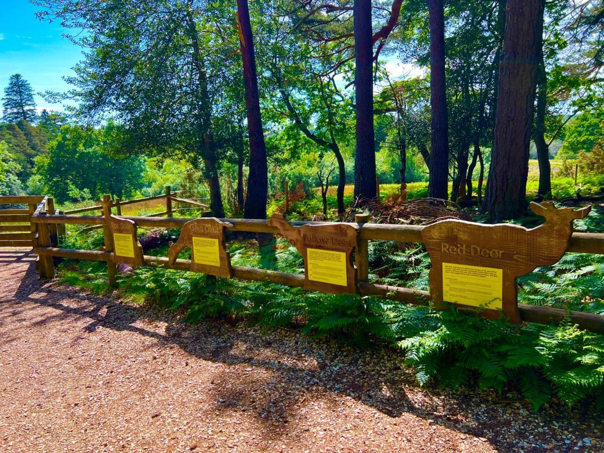 Forest Haven Sway Buitenkant foto